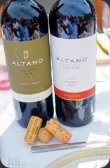 Altano-picnic-57