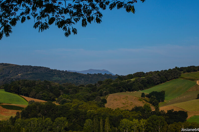 17082019-_MG_5559