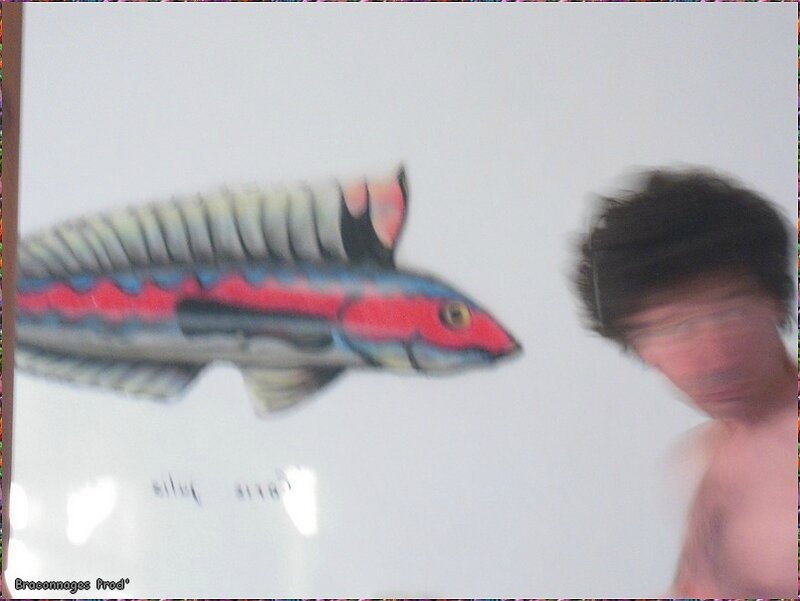 FISH MAN