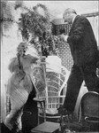 1956_feb_CecilBeaton_Bird_0012_n10_byEdPfizenmaier_1a