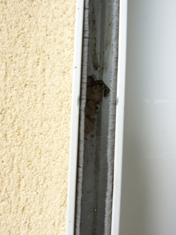 P1440494