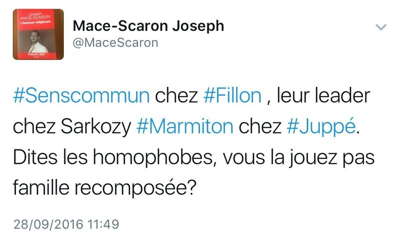 MaceScaronCritiqueFillon