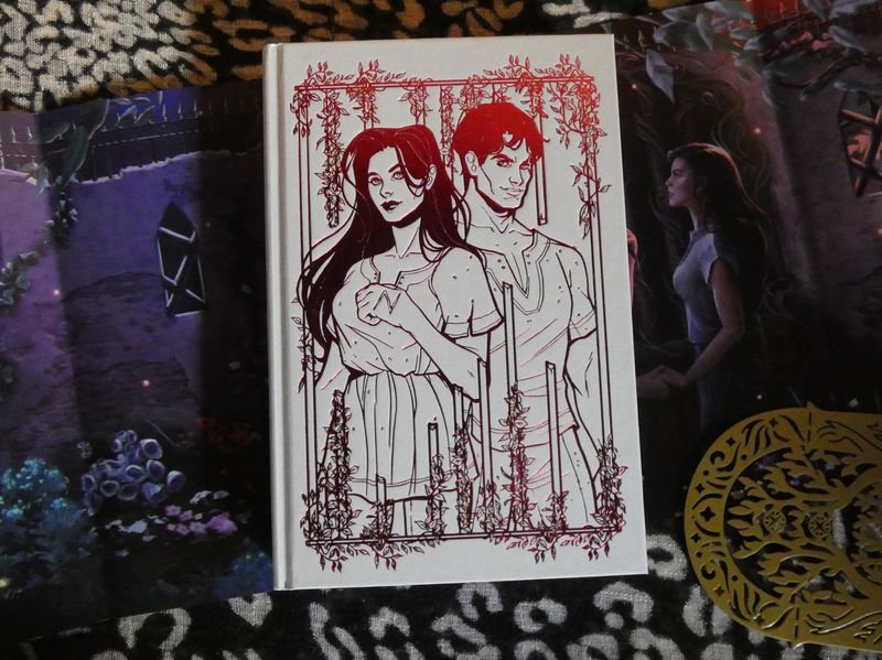 Fairyloot_Hidden Identities 11