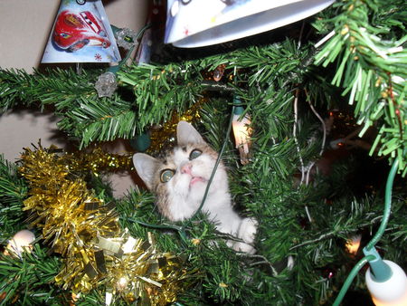 20102009_156