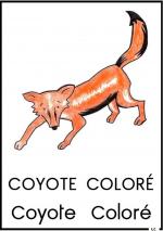 COYOTE
