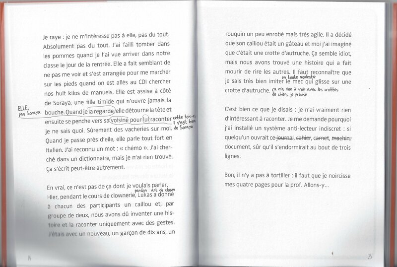 Le journal nul de mes amours nulles