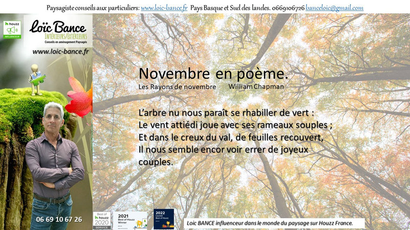 Novembre-en-poeme-Paysagiste-Pays-Basque-Paysagiste-Landes