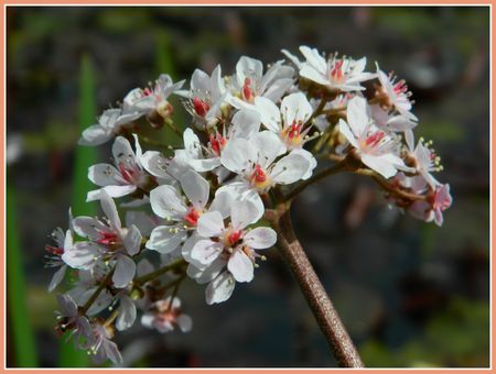 DSCN2914a