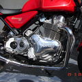 DSC00019_redimensionner