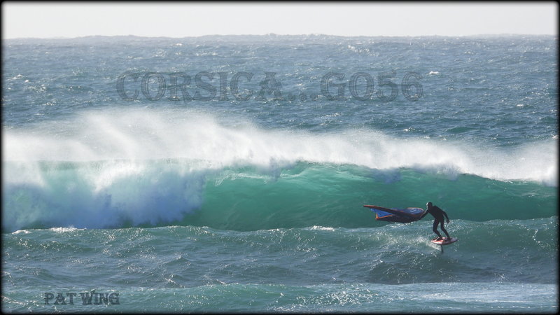 AU_COEUR_DE__NORIA____PAT__WING__CHARGE__ALOHA_CRIS_