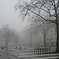 Du brouillard sur le mail françois mitterrand à rennes le 23 janvier 2016 