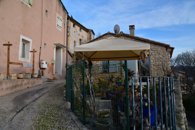 DSC_0040