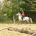 équitation de pleine nature - rallye équestre (104)
