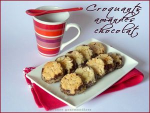 croquants amandes chocolat (13)