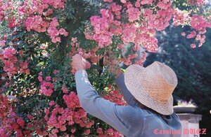 jardin_des_plantes_000192_copie