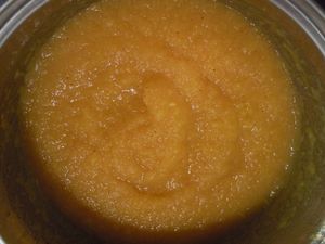 compote pomme orange cannelle (12)
