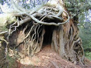 __hobbit_house_Wallpaper__yvt2_scenic_reflections