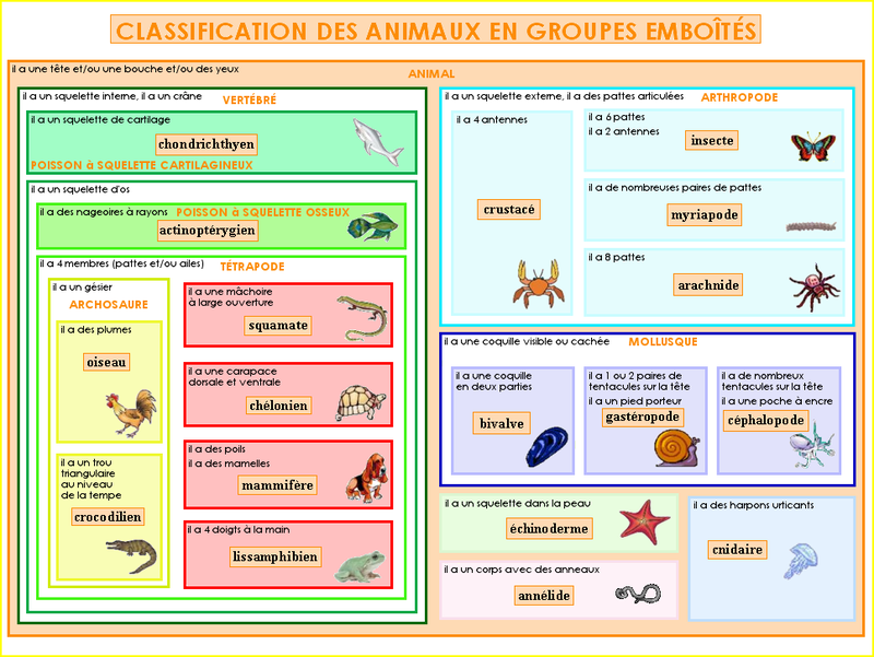 Classification animaux Soutien 67