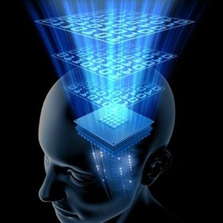 cerveau visualisation