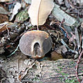 baer-22-10-20-02
