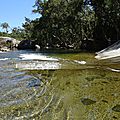 DSC08478