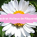 14 PAQUERETTE(4)Macérat Huileux de Paquerette
