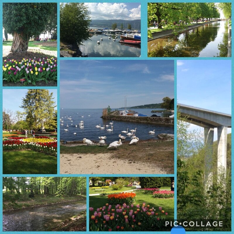 xxx vieilles en yverdon les bains dietikon xxx vieilles en yverdon les bains dietikon