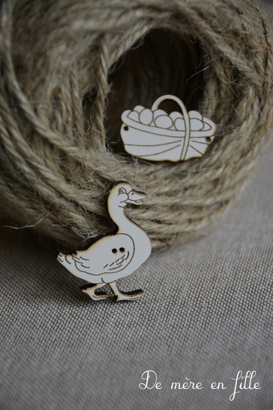 canard