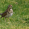 133_3362_DxO
