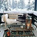&adecohiver17