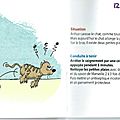 Griffures de chat