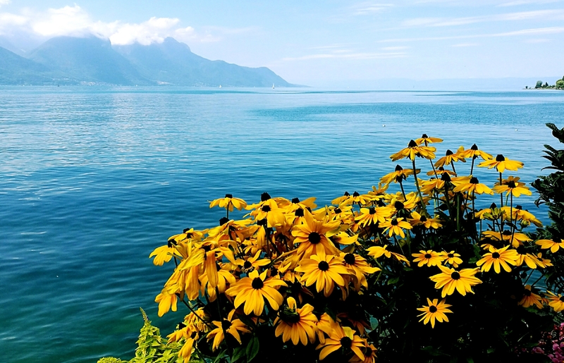 Montreux, lac Léman et fleurs