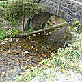 P1110306