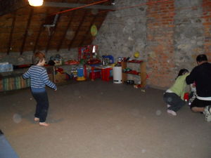 20102009_6054
