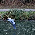 IMG_3722