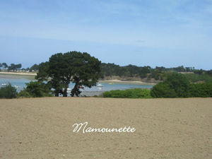 vacances semaine 21 en mai 2011 normandie bretagne 051-