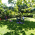 P1270809 (Copier)