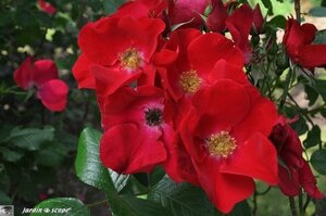 Jardins-de-la-Javelière-0024