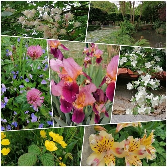 PhotoCollage_1588520609634