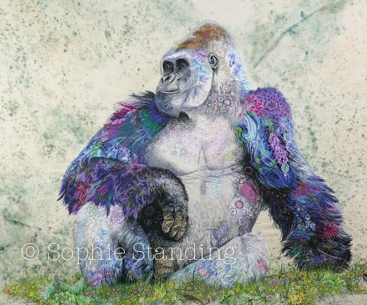 Gorilla
