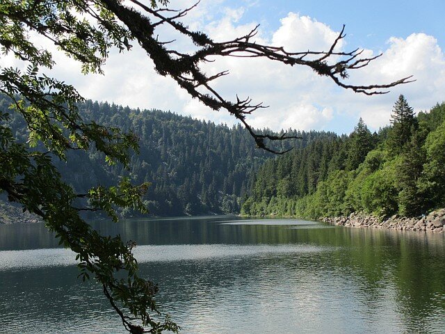 blog ger19