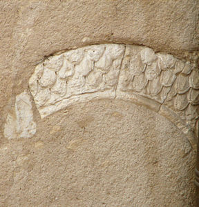 Palais_Saint_Pierre_5