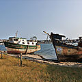 IMG_8282