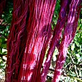 DSC05621