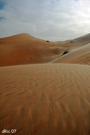 mauritanie_3940