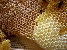 Cire d'abeille