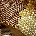 Cire d'abeille
