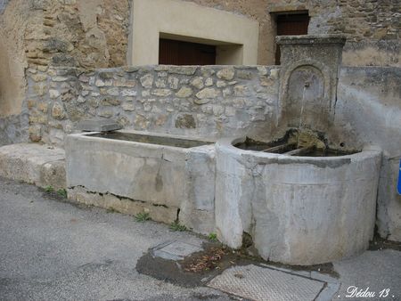 Photo_239