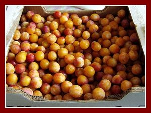 confituremirabelles