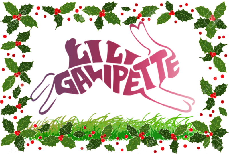 Zanimot de Noel 1